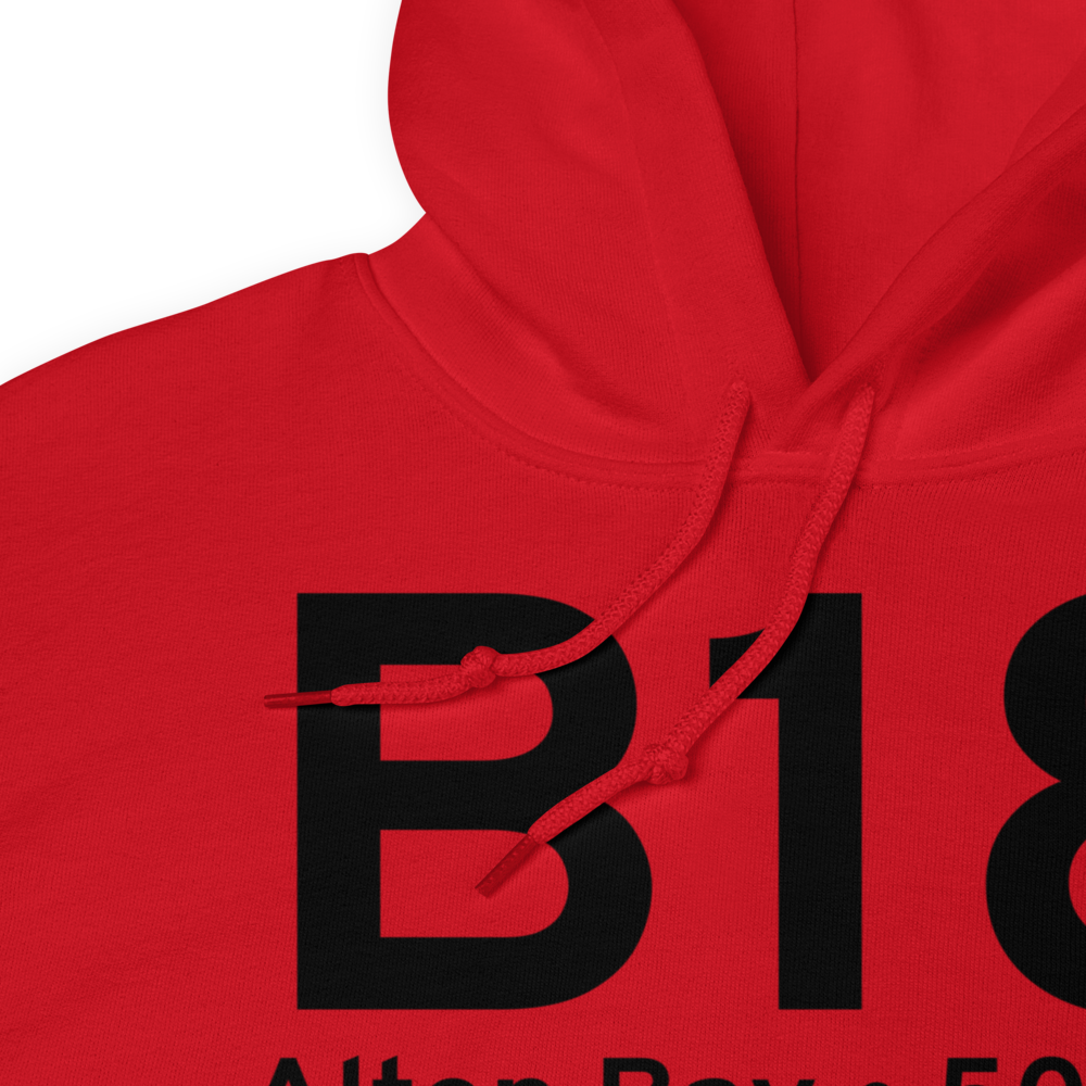 Alton Bay (B18) Airport Hoodie Sweatshirt 