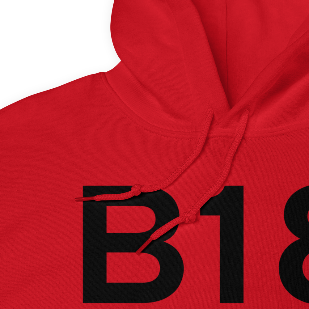 Alton Bay (B18) Airport Hoodie Sweatshirt 
