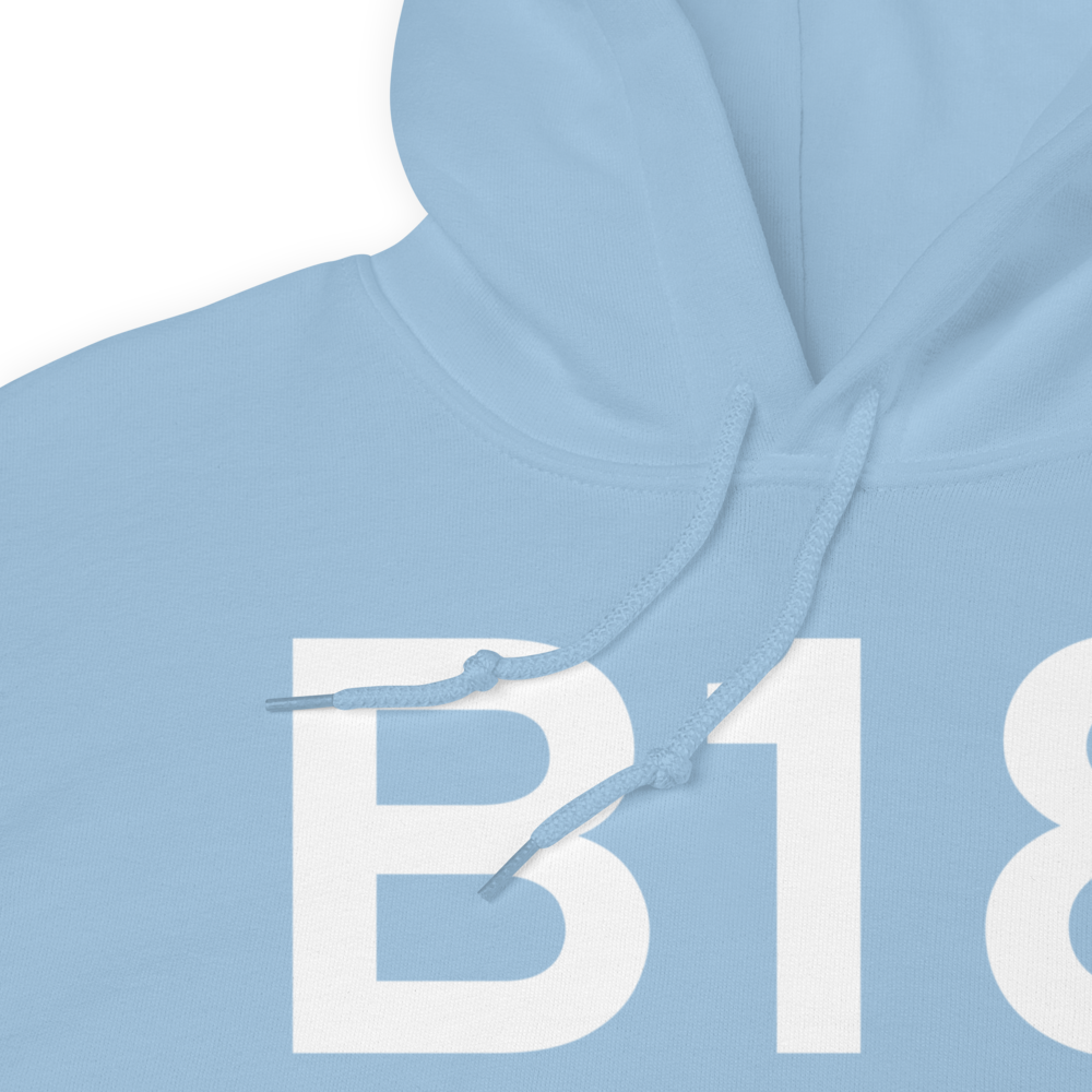 Alton Bay (B18) Airport Hoodie Sweatshirt 