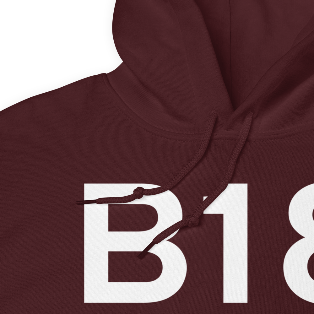 Alton Bay (B18) Airport Hoodie Sweatshirt 