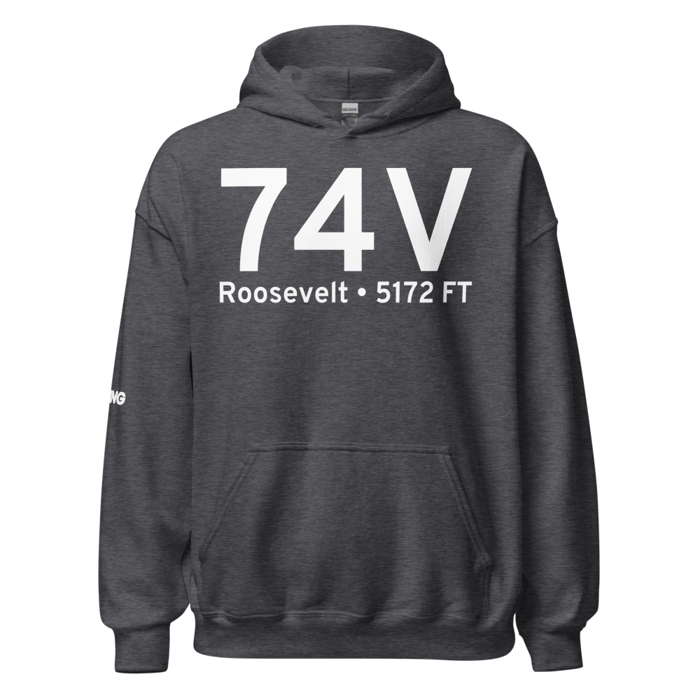Roosevelt (K74V) Airport Hoodie Sweatshirt 
