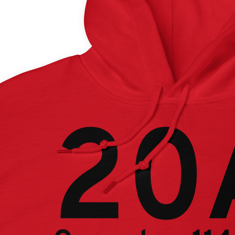 Oneonta (K20A) Airport Hoodie Sweatshirt 