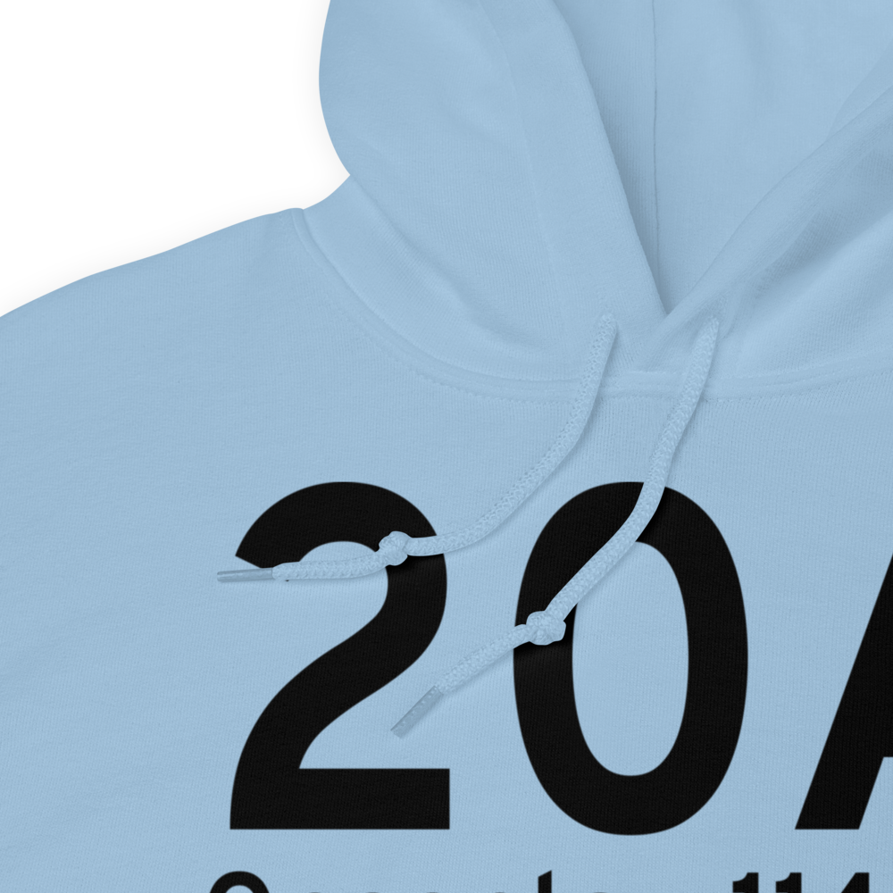 Oneonta (K20A) Airport Hoodie Sweatshirt 