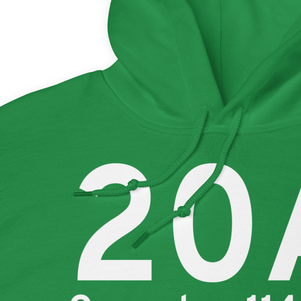 Oneonta (K20A) Airport Hoodie Sweatshirt 
