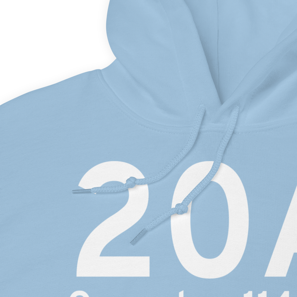 Oneonta (K20A) Airport Hoodie Sweatshirt 