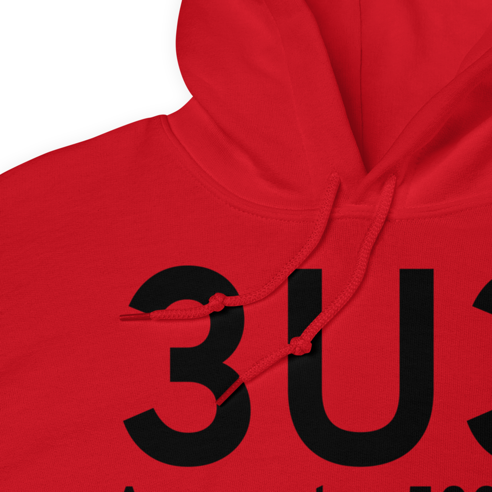 Anaconda (K3U3) Airport Hoodie Sweatshirt 