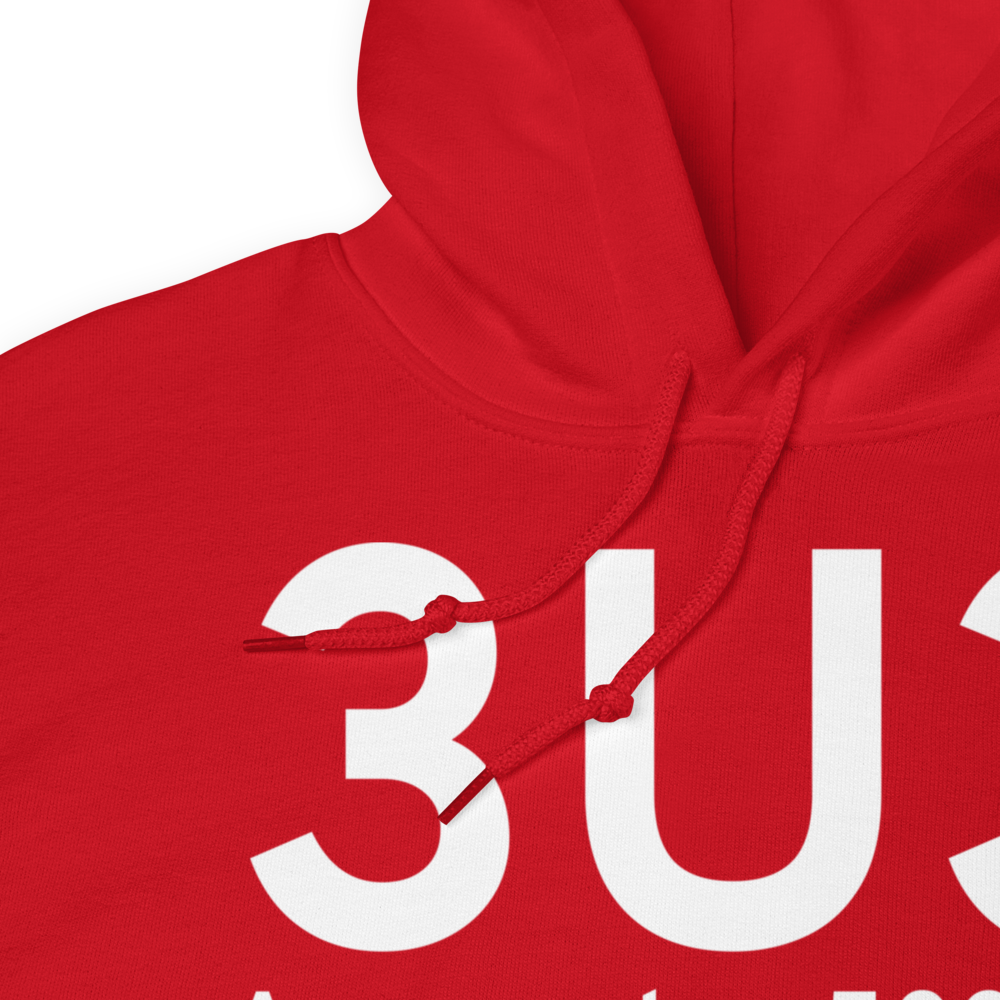 Anaconda (K3U3) Airport Hoodie Sweatshirt 