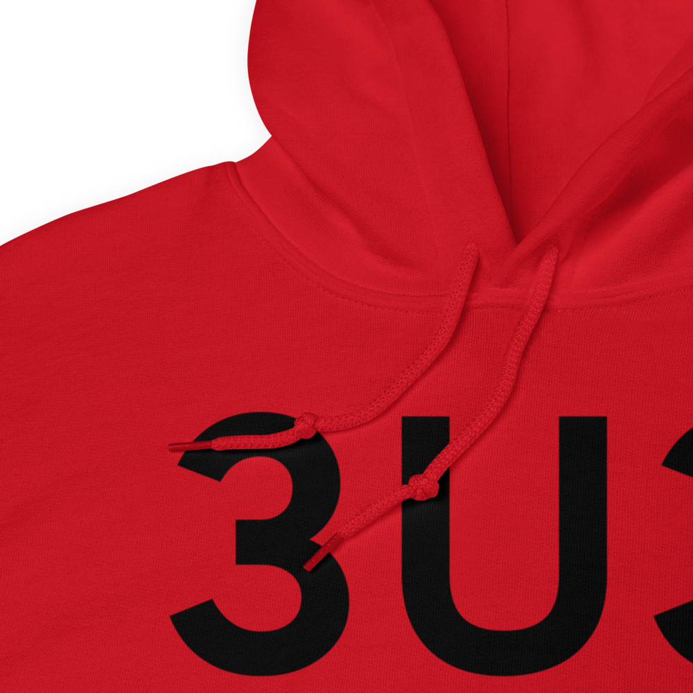 Anaconda (K3U3) Airport Hoodie Sweatshirt 