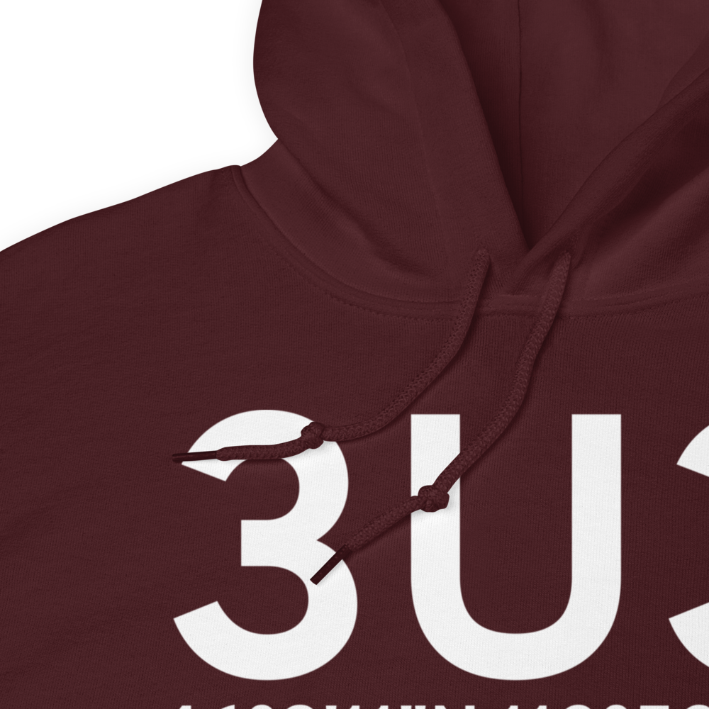 Anaconda (K3U3) Airport Hoodie Sweatshirt 
