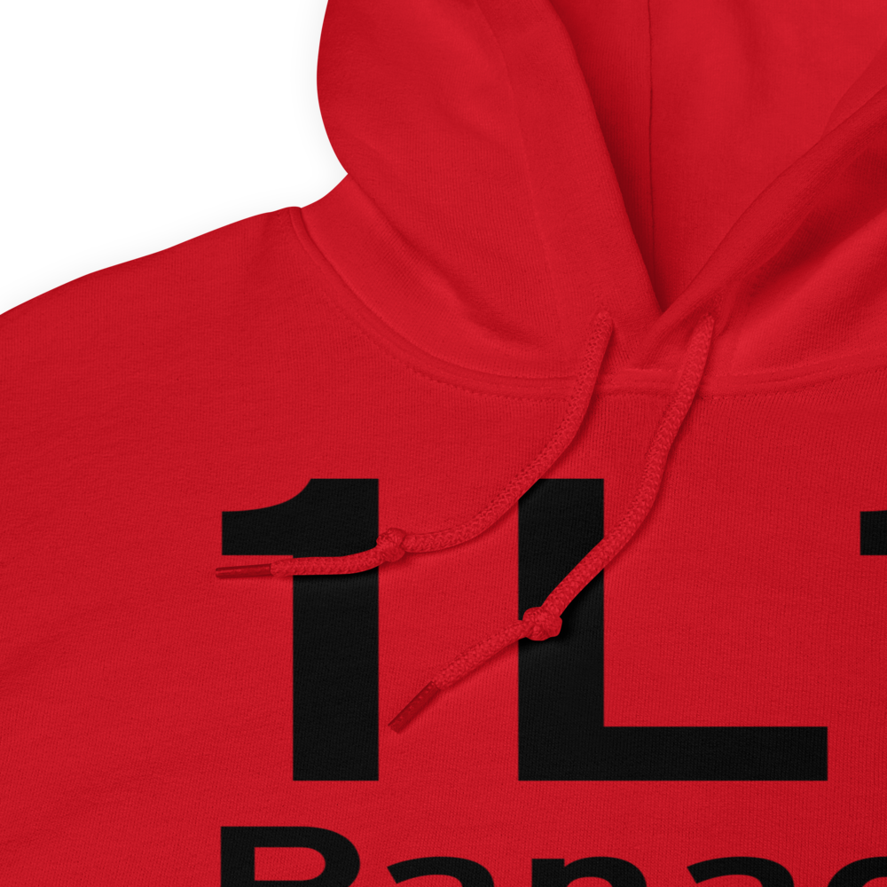 Panaca (K1L1) Airport Hoodie Sweatshirt 
