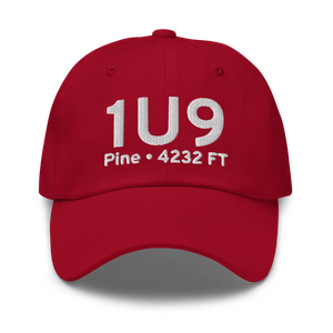 Pine (1U9) Airport Hat