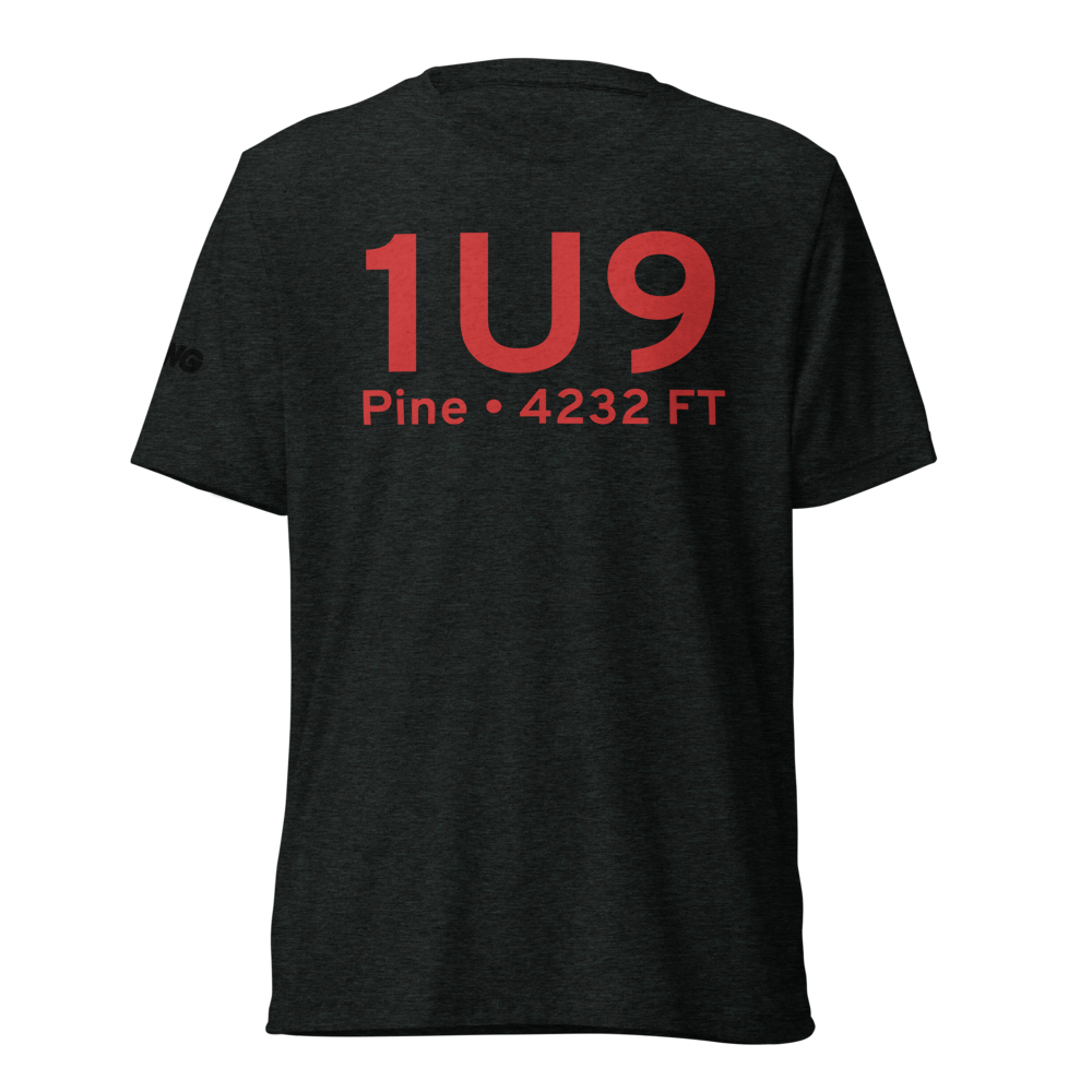 Pine (1U9) Airport Tri-blend T-Shirt 