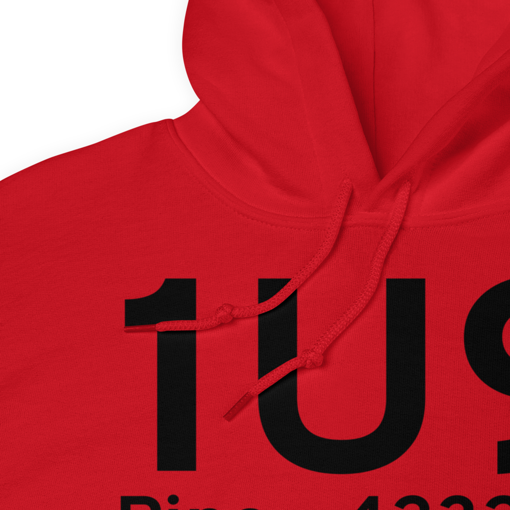Pine (1U9) Airport Hoodie Sweatshirt 