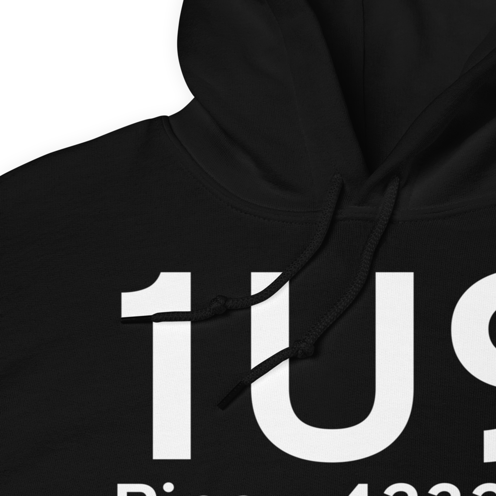 Pine (1U9) Airport Hoodie Sweatshirt 