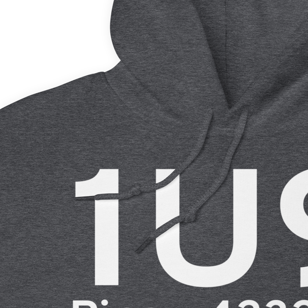 Pine (1U9) Airport Hoodie Sweatshirt 