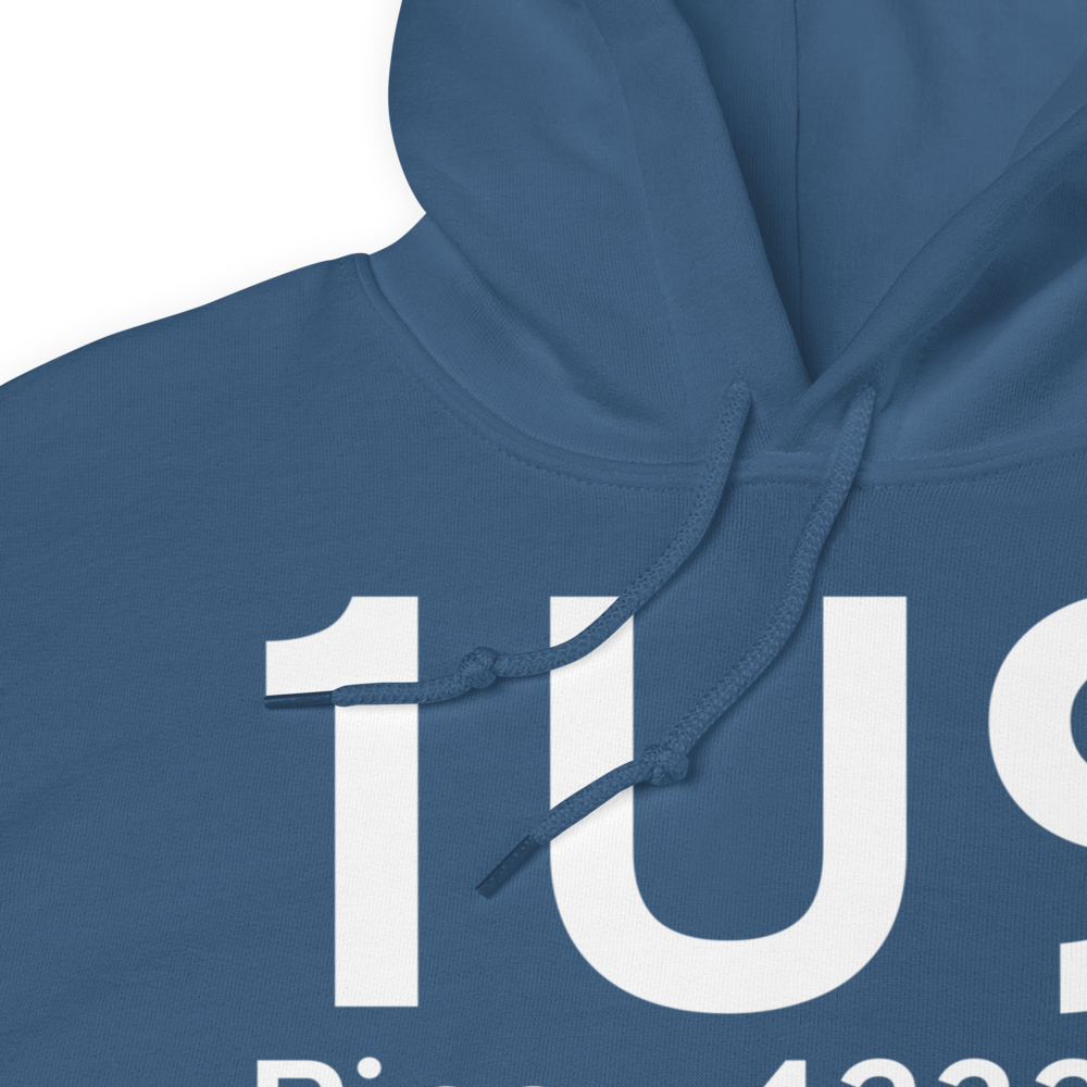 Pine (1U9) Airport Hoodie Sweatshirt 