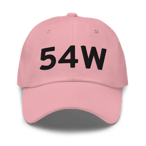 Albany (54W) Airport Hat