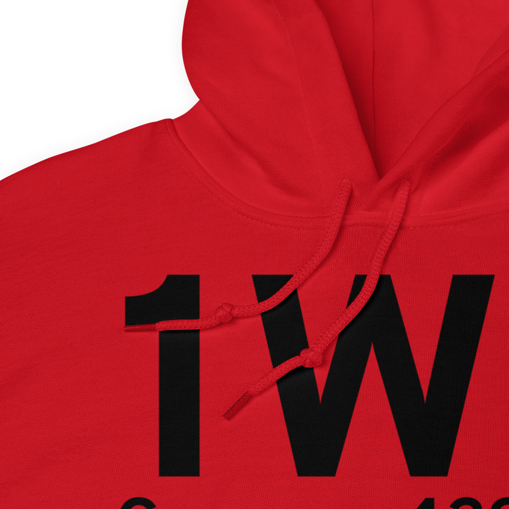 Camas (1W1) Airport Hoodie Sweatshirt 