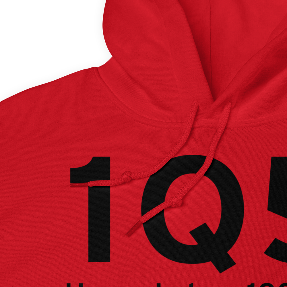 Upper Lake (1Q5) Airport Hoodie Sweatshirt 