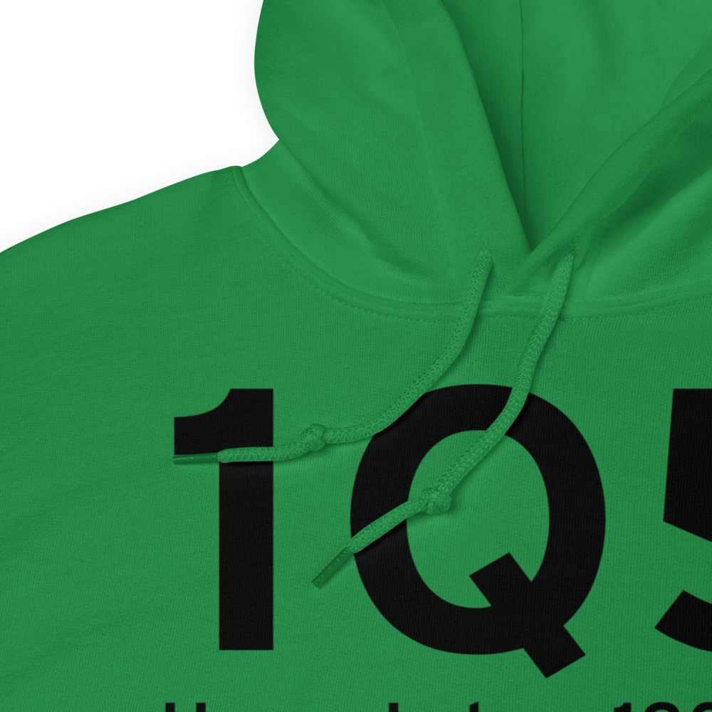 Upper Lake (1Q5) Airport Hoodie Sweatshirt 