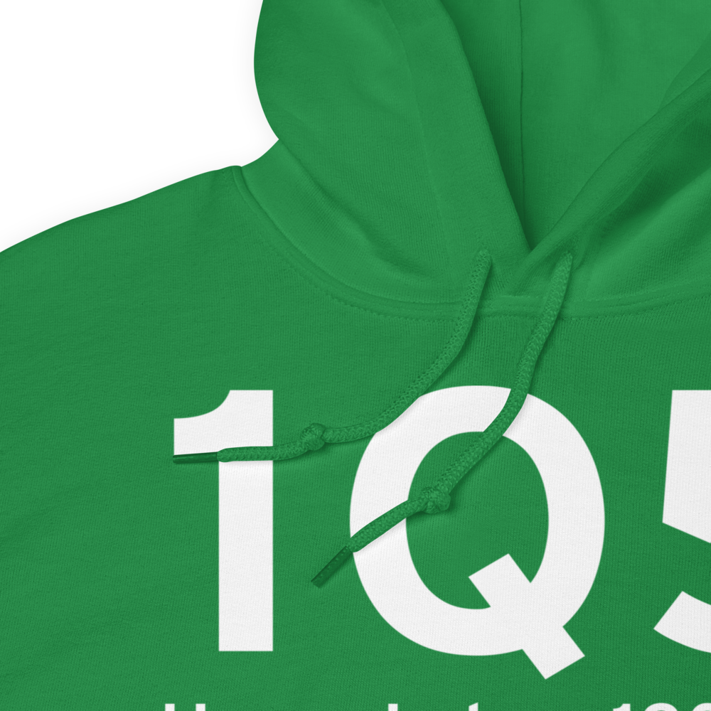 Upper Lake (1Q5) Airport Hoodie Sweatshirt 