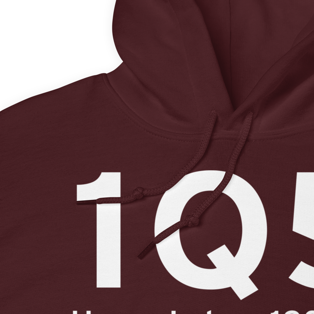 Upper Lake (1Q5) Airport Hoodie Sweatshirt 