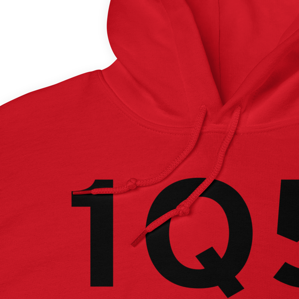 Upper Lake (1Q5) Airport Hoodie Sweatshirt 