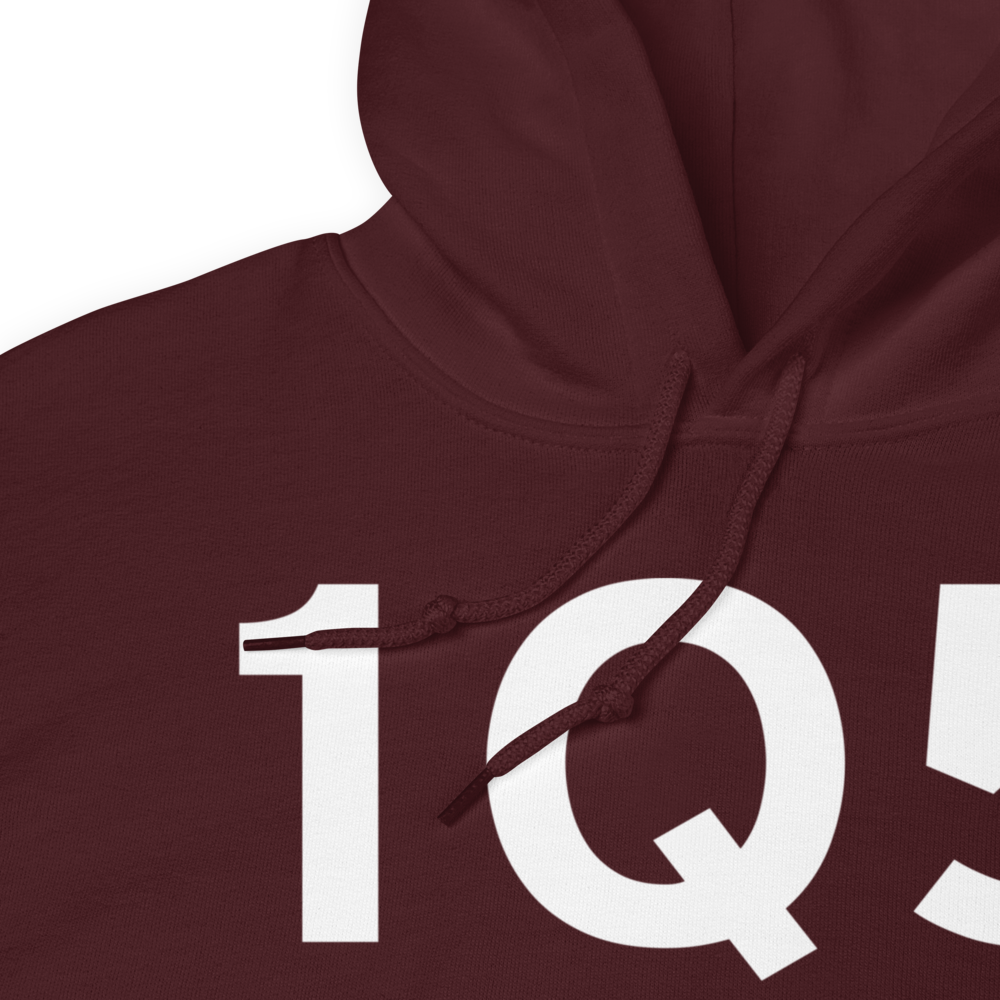 Upper Lake (1Q5) Airport Hoodie Sweatshirt 