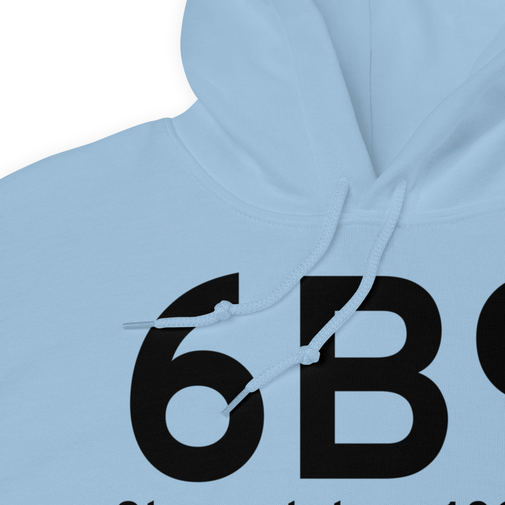 Skaneateles (K6B9) Airport Hoodie Sweatshirt 