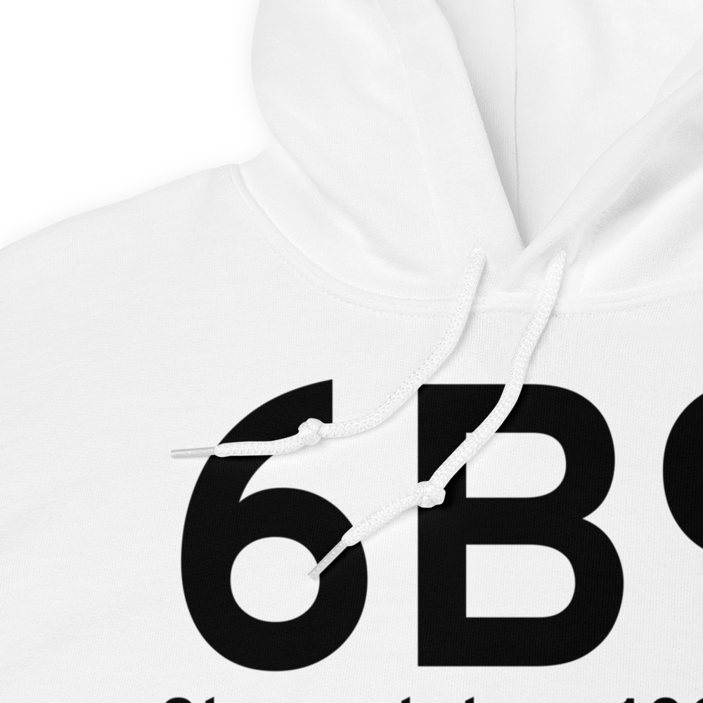 Skaneateles (K6B9) Airport Hoodie Sweatshirt 