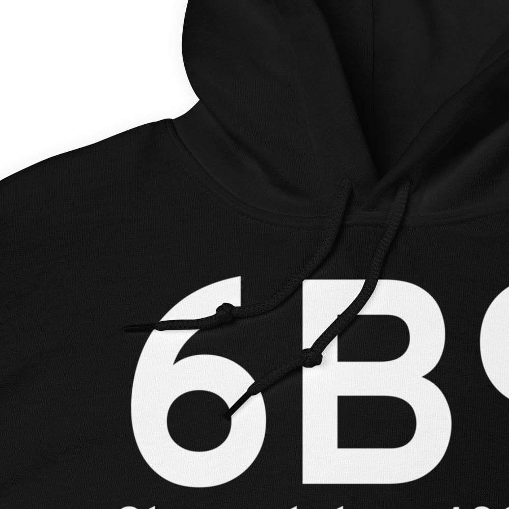 Skaneateles (K6B9) Airport Hoodie Sweatshirt 