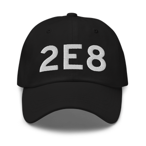 Dexter (2E8) Airport Hat