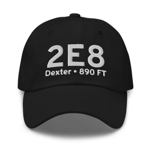 Dexter (2E8) Airport Hat