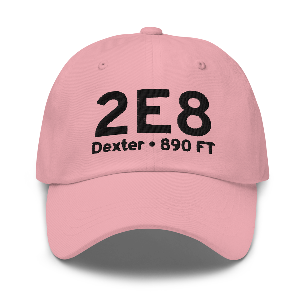 Dexter (2E8) Airport Hat 