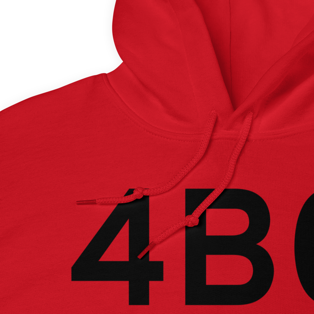 South Bethlehem (4B0) Airport Hoodie Sweatshirt 
