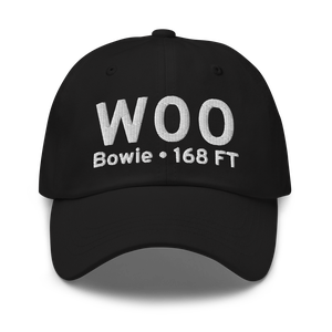 Bowie (W00) Airport Hat