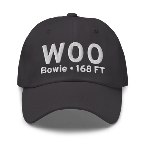 Bowie (W00) Airport Hat