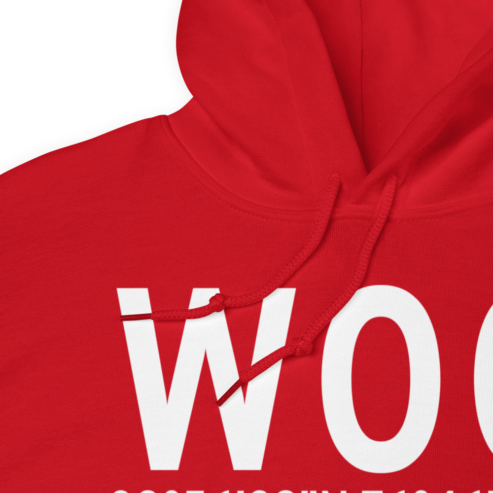 Bowie (W00) Airport Hoodie Sweatshirt 