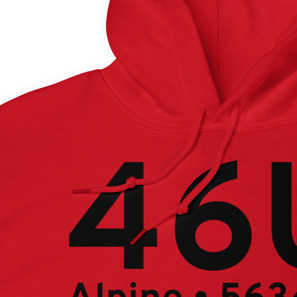 Alpine (K46U) Airport Hoodie Sweatshirt 