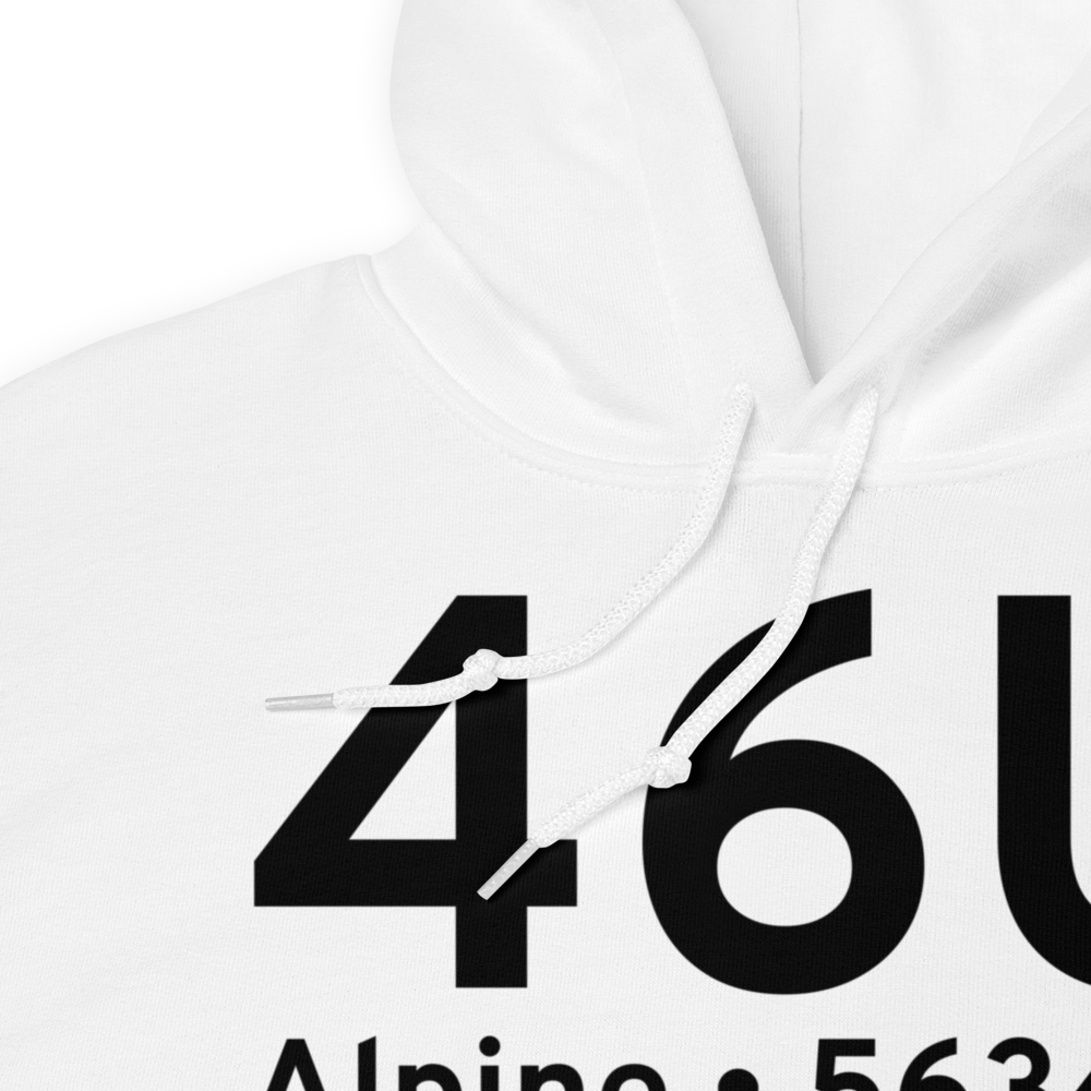 Alpine (K46U) Airport Hoodie Sweatshirt 