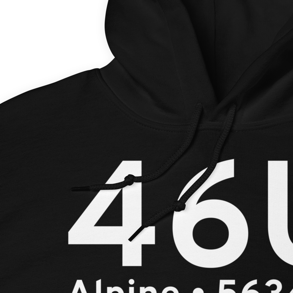Alpine (K46U) Airport Hoodie Sweatshirt 