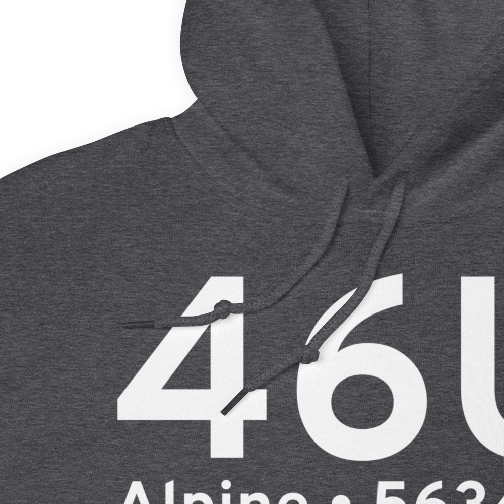 Alpine (K46U) Airport Hoodie Sweatshirt 