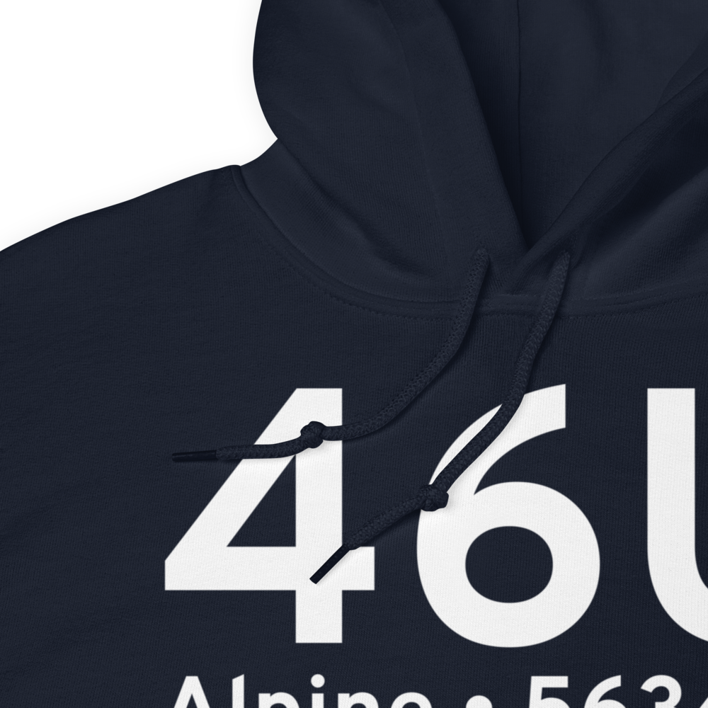 Alpine (K46U) Airport Hoodie Sweatshirt 