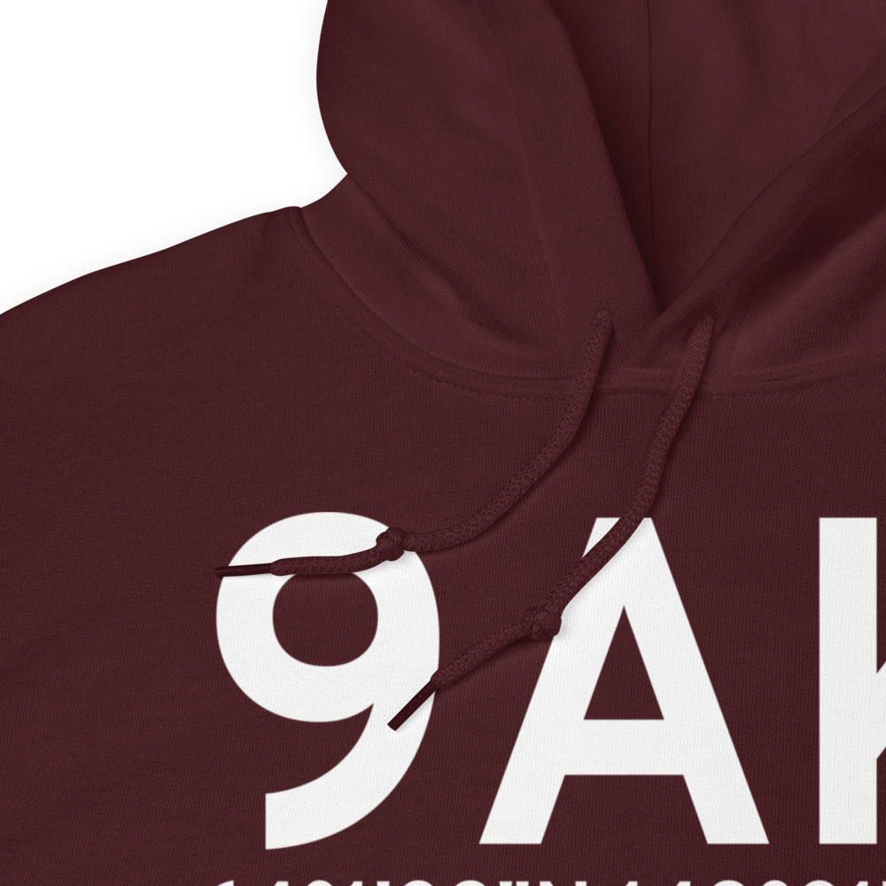Totatlanika River (9AK) Airport Hoodie Sweatshirt 