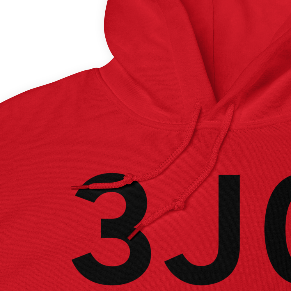 Hampton (K3J0) Airport Hoodie Sweatshirt 