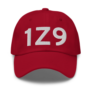 Ellamar (1Z9) Airport Hat