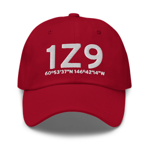 Ellamar (1Z9) Airport Hat