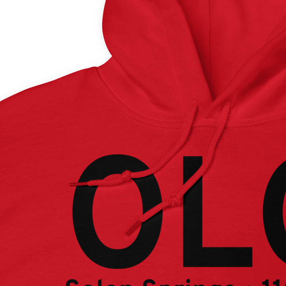 Solon Springs (KOLG) Airport Hoodie Sweatshirt 