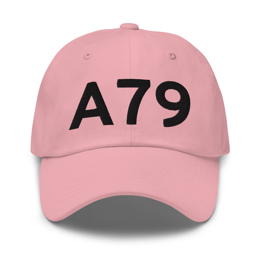 Chignik Lake (A79) Airport Hat 