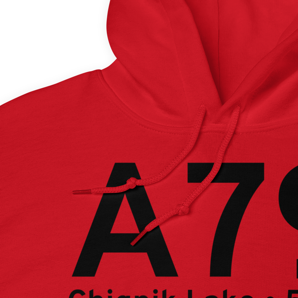 Chignik Lake (A79) Airport Hoodie Sweatshirt 